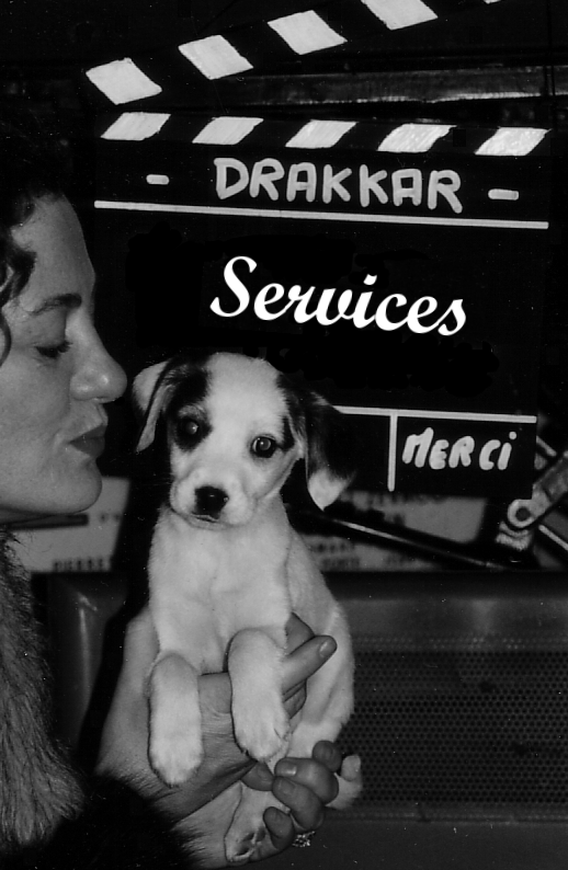 Drakkar Services